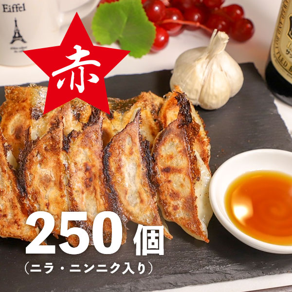 冷凍赤餃子【250個】
